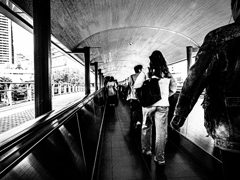 どんぶらこ～どんぶらこ