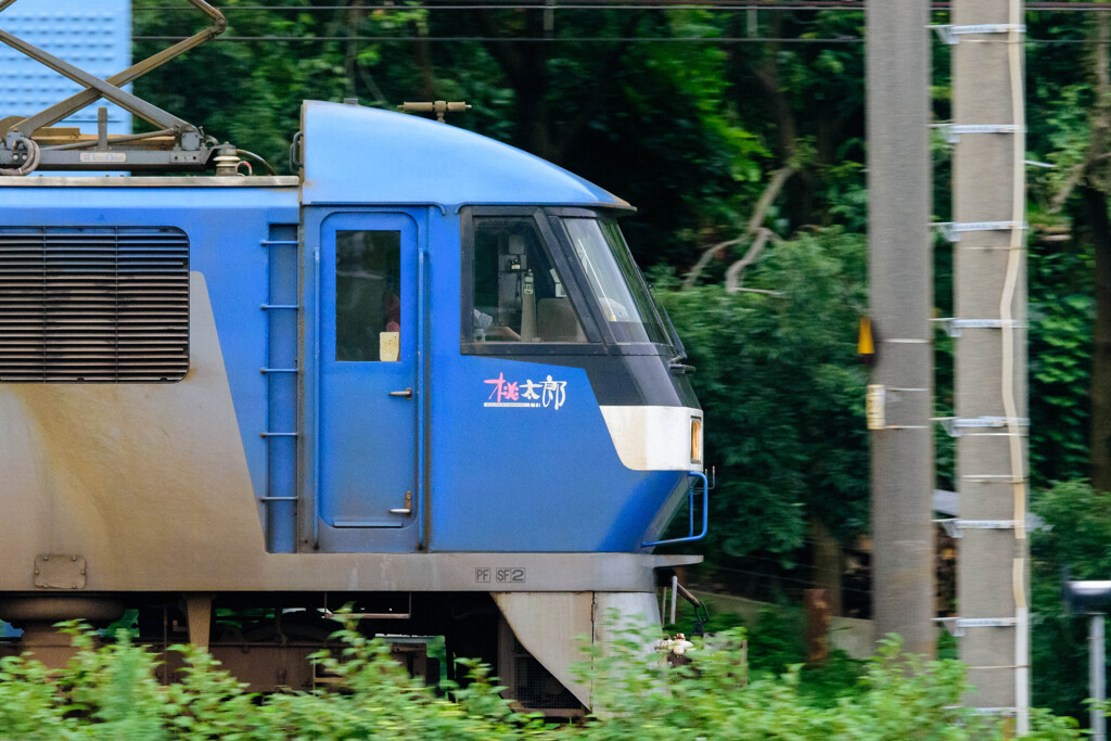 桃太郎