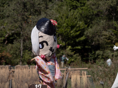 案山子の誘惑