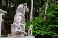 狛犬ならぬ狛狼