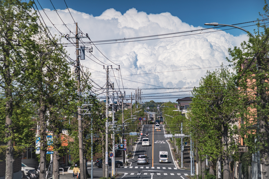 夏ですか？