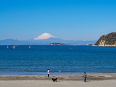 3月初めの2枚看板