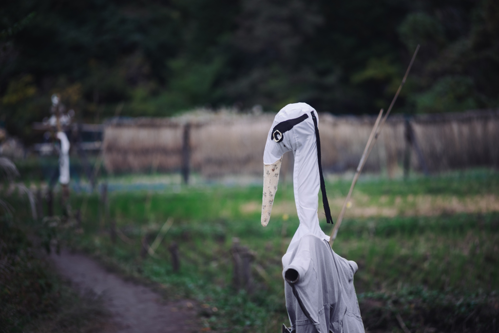 今年の案山子 ４