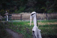 今年の案山子 ４