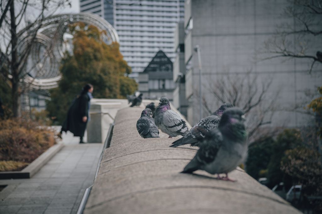 三寒四温