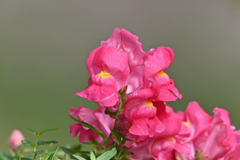 なんだか良い色