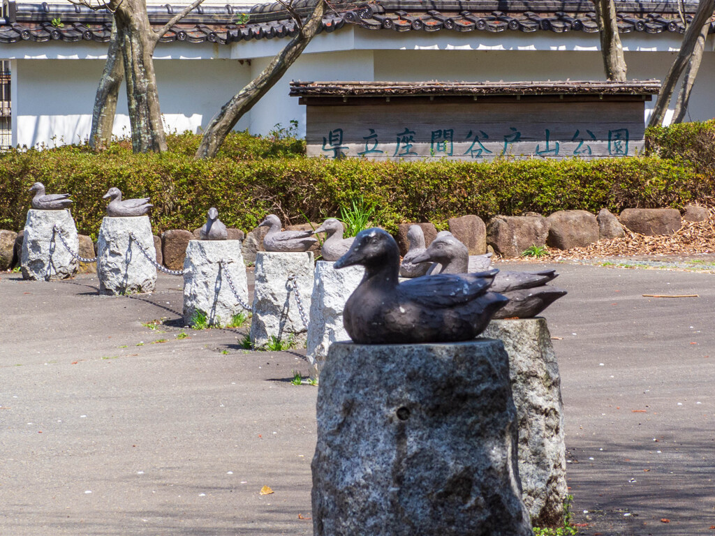 心のオアシス（？）