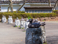 心のオアシス（？）