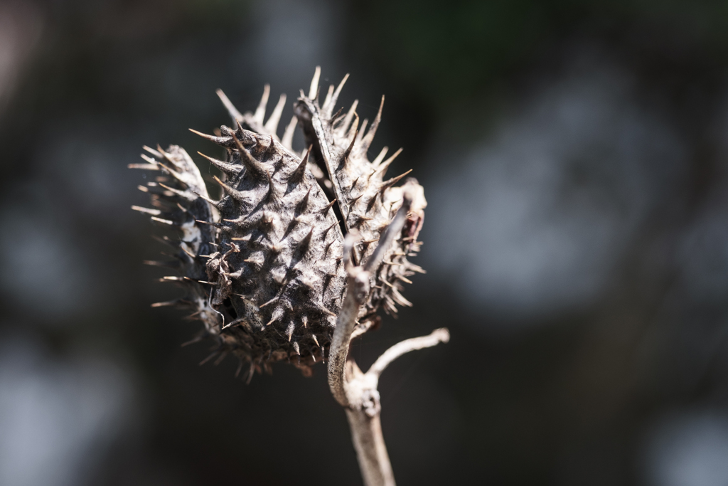 オールドマクロの世界２