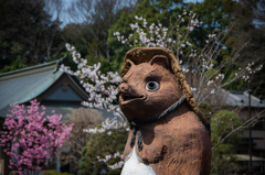 茂林寺