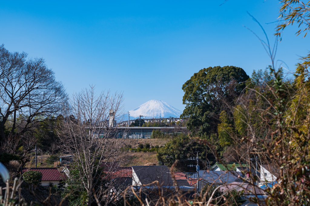 町内富士
