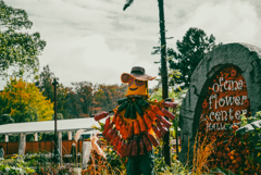 フラワーセンターのハロウィン