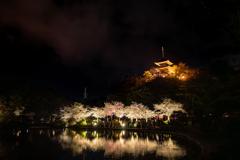 “SAKURA” Night　その２