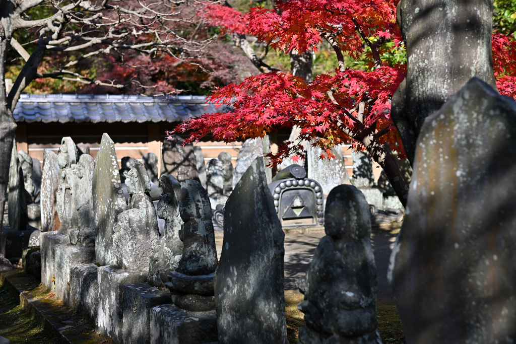 鎌倉・円覚寺