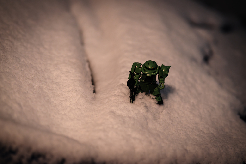 積もる初雪