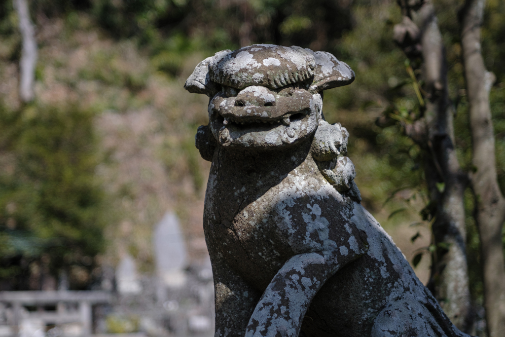 鎌倉・長谷　御霊神社３
