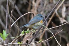 もうずっとココに居れば？