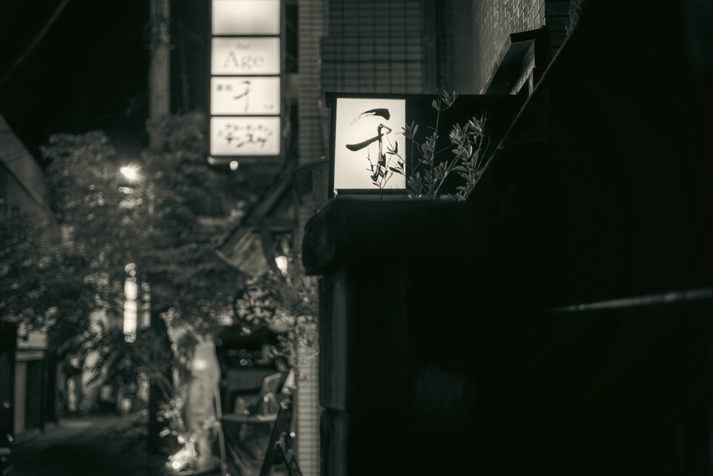 灯る銘