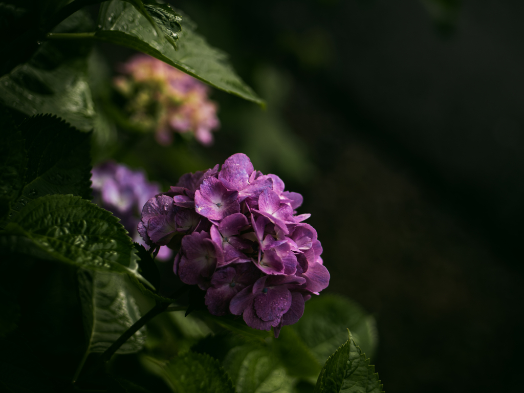 雨が止んだ
