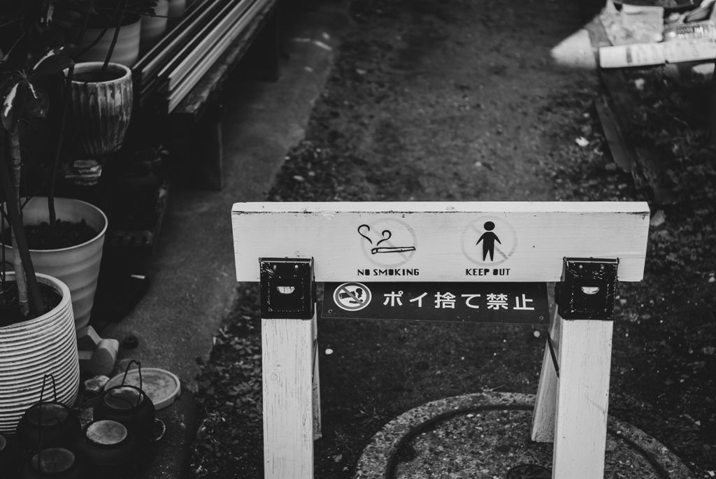 さすがに今は…