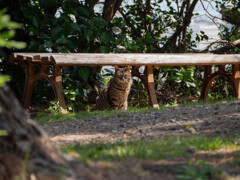 海を見下ろす公園で