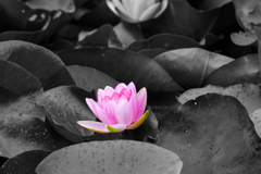 雨止まないかなぁ…