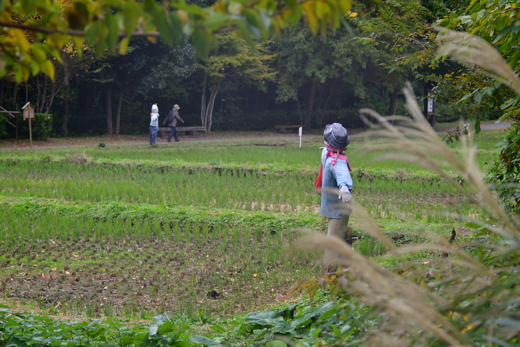 冬になっても立ってるの？