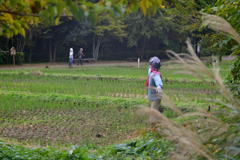 冬になっても立ってるの？