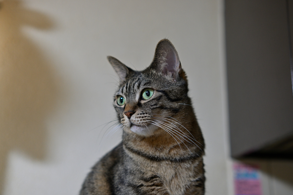 Viltrox 33mm F1.4 Z