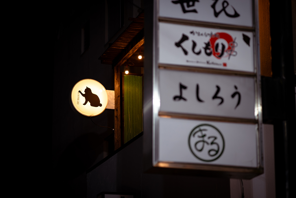 薄暑な夜をそぞろ歩く ９