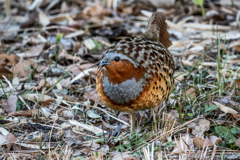 瞳の中の冬晴れ