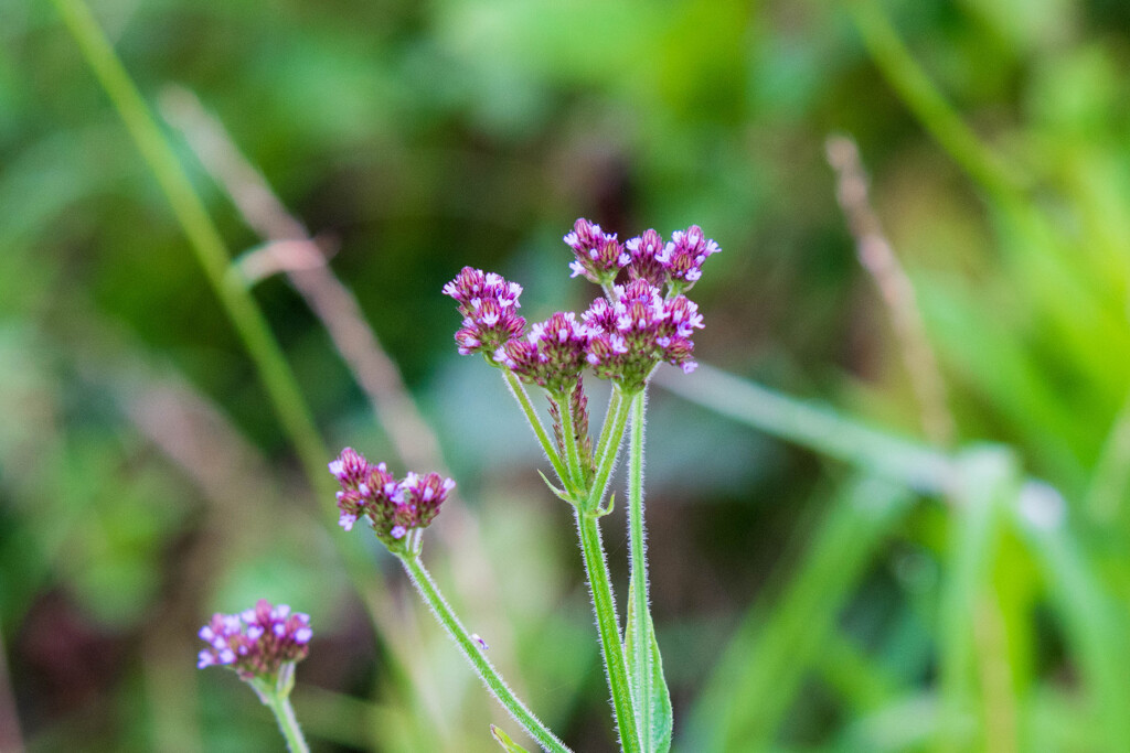 小さいけどキレイでした。