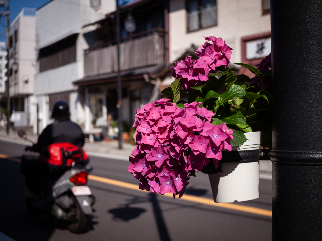 商店街の季節感