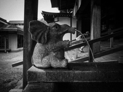 神聖なる