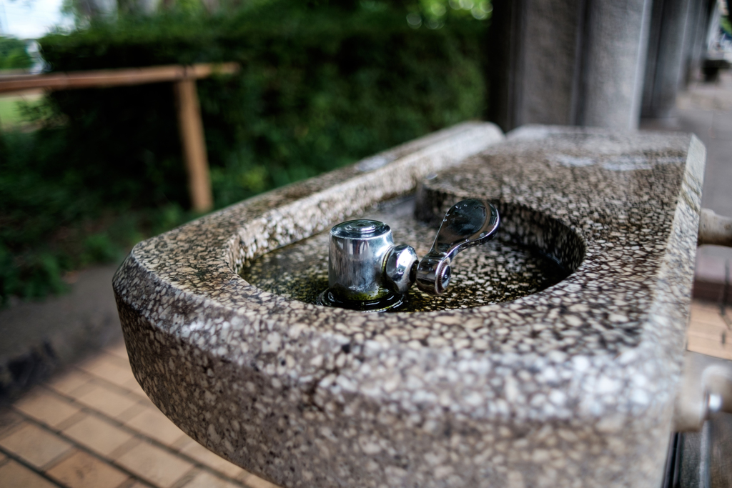 中華製レンズ試写