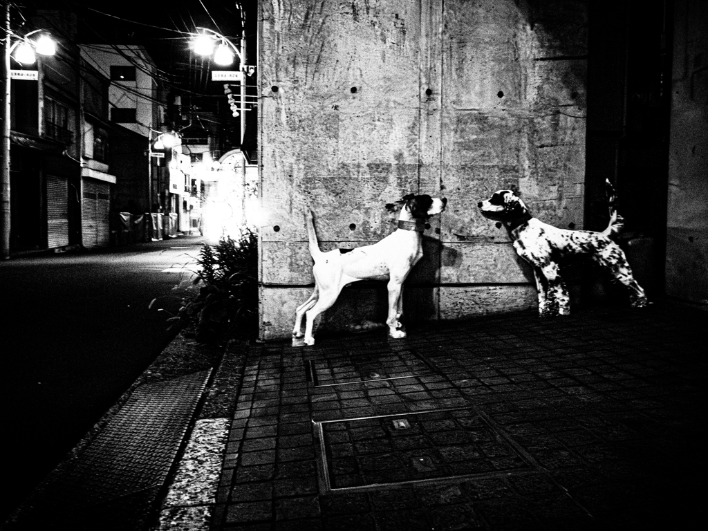 眠れない夜