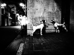 眠れない夜