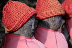 もう昼間は暑くないですか？