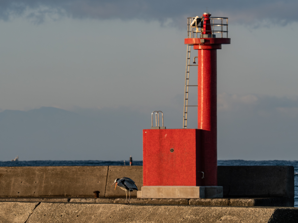 「バカヤローー！！」