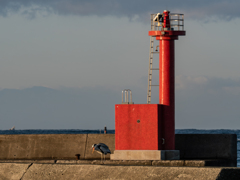 「バカヤローー！！」
