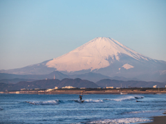 サーフィンJPN