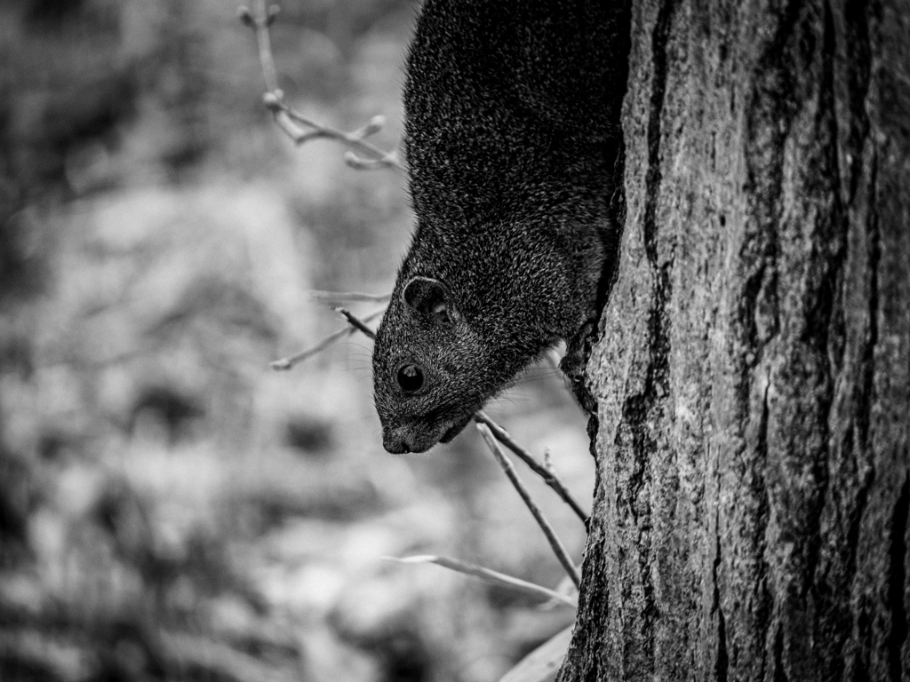 それでも生きてる