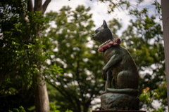 猫の森には帰れない