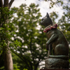 猫の森には帰れない