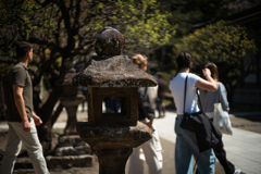 灯籠が見て来た景色