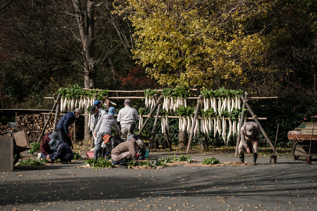 美味しくな〜れ