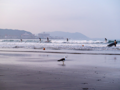 ウミネコの浜
