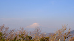 春霞
