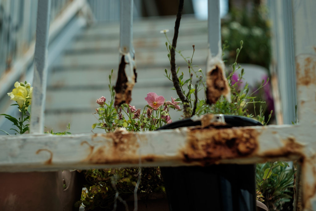 過ぎてゆく日々