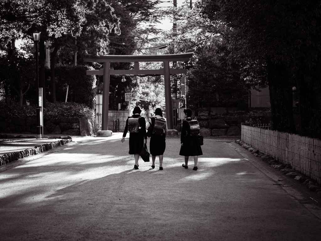 鳥居が立つ街
